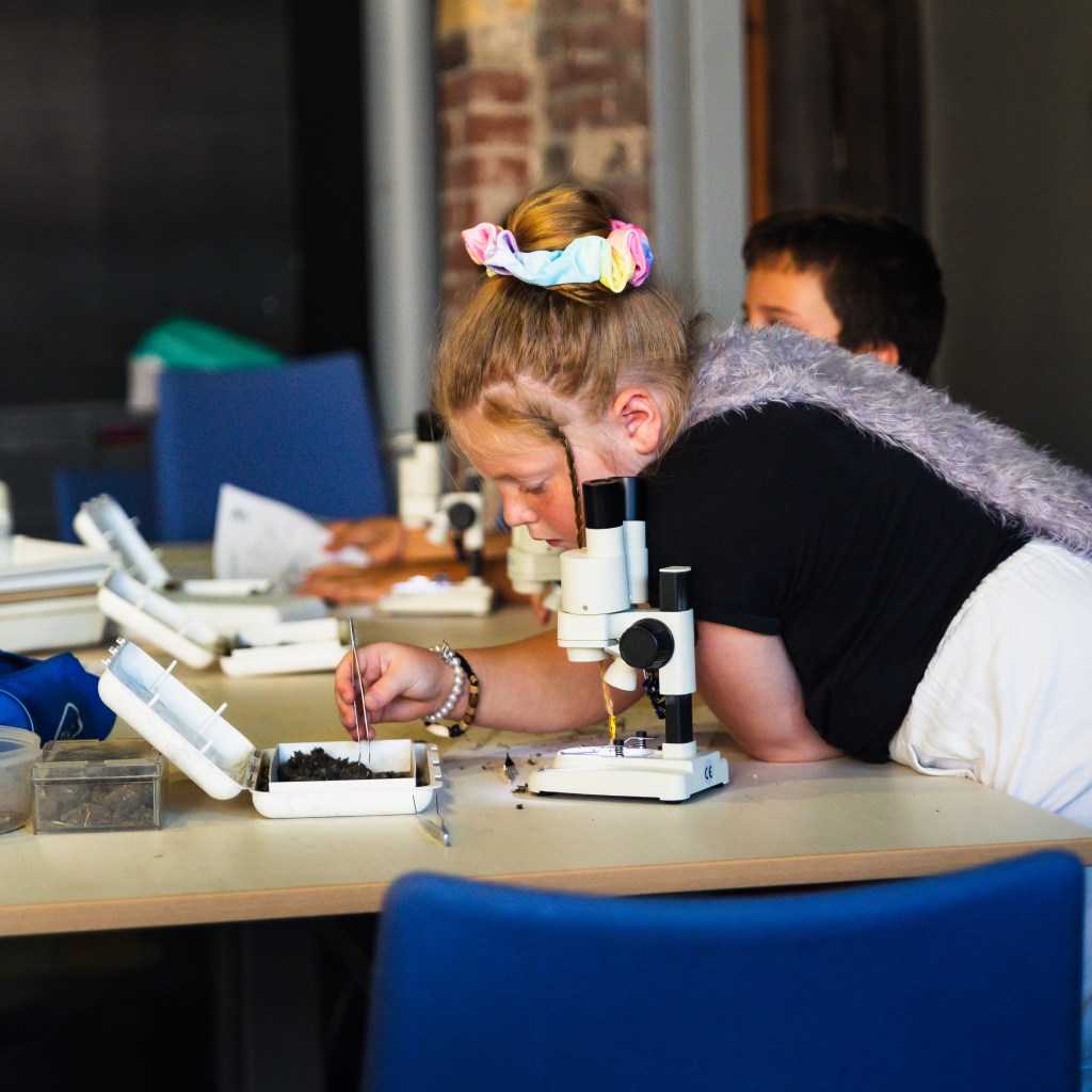 Une fille réalise une expérience avec un microscope