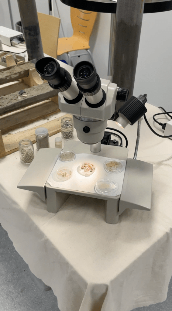 Un microscope à la fête de la science 2023