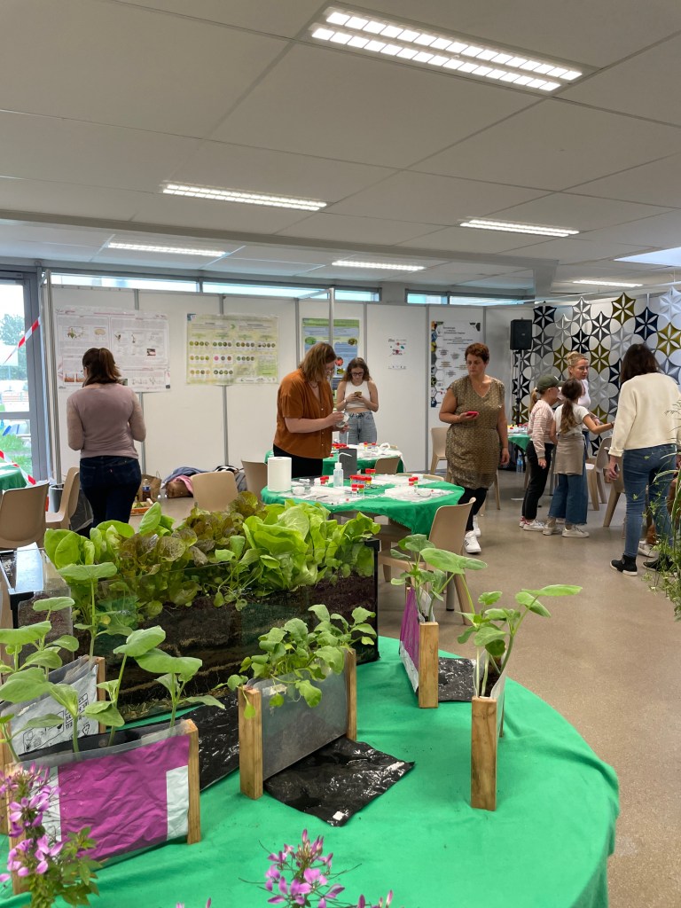 Une activité sur les plantes