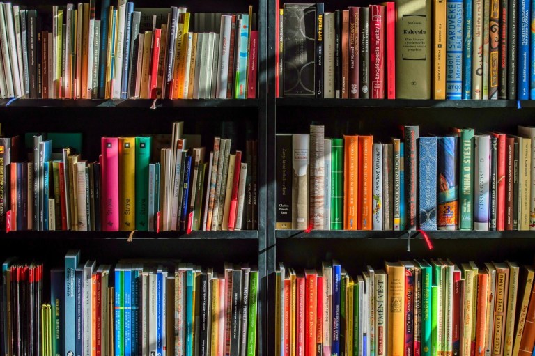 Photo mise en avant page livre pour la collection Océans de Savoirs