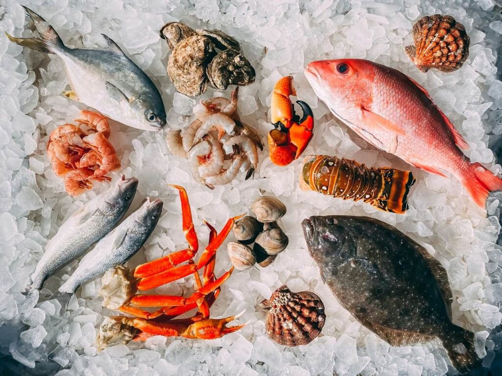 Poissons, coquillages et crustacés disposés sur un lit de glace.