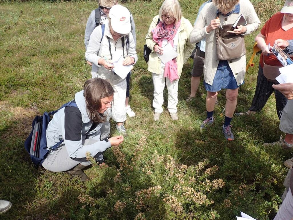 Un guide accroupi montre une plante à un groupe de visiteurs réunis autour de lui, en bord de mer.