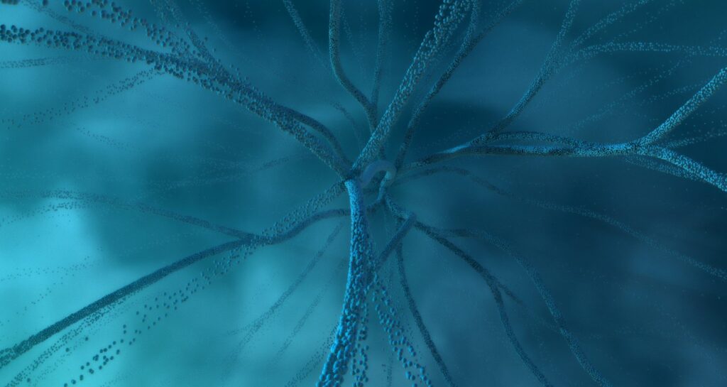 Image scientifique bleutée montrant les ramifications d'une cellule nerveuse.