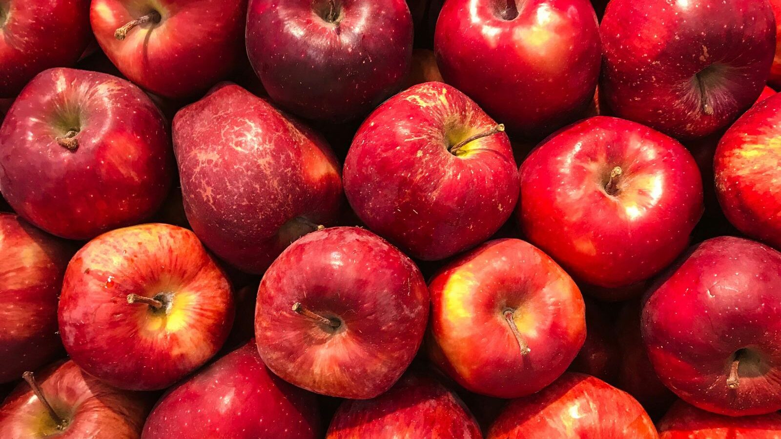 Pommes rouges serrées les unes contre les autres, vues de dessus.