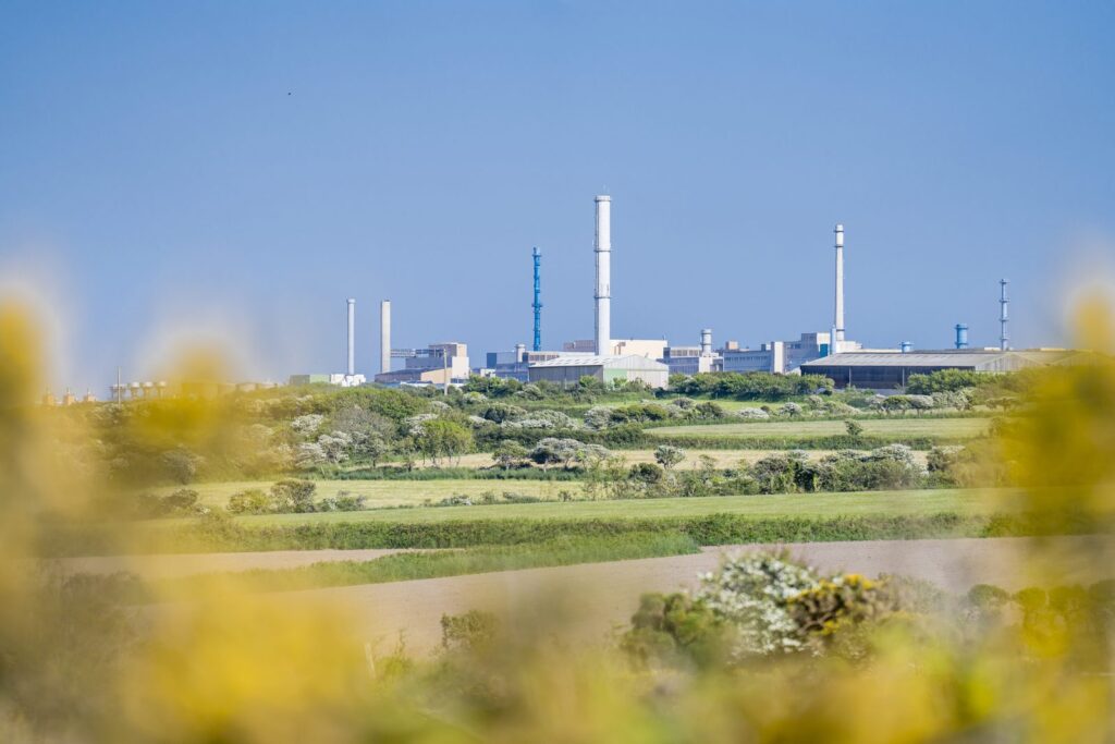 Installations d'un site nucléaire dans un paysage de bocage, derrière des fleurs jaunes.
