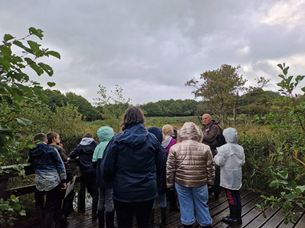 Un groupe de visiteurs observe un marais depuis un ponton de bois.