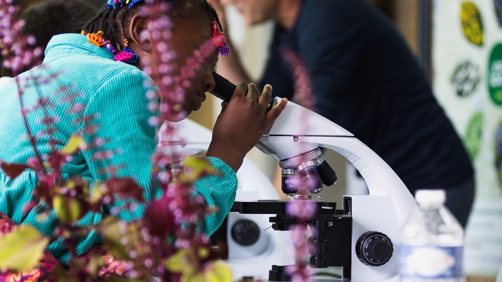 Un enfant regarde dans un microscope, derrière un bouquet de fleurs violettes.